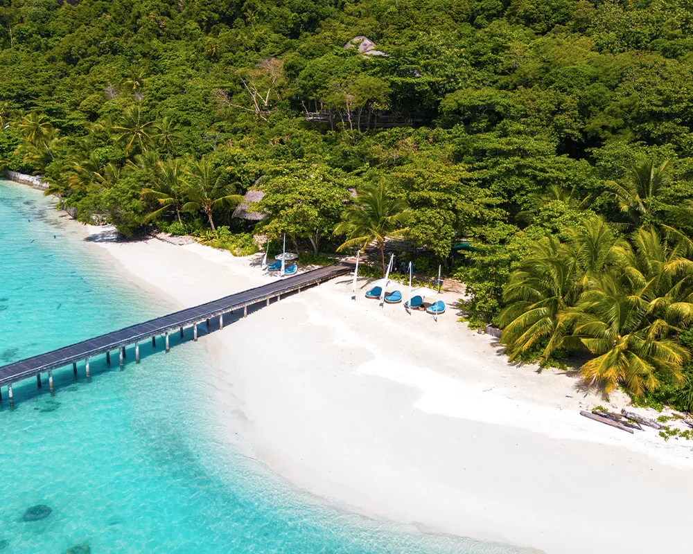 aerial-jetty-beach-loungers-lush-forest