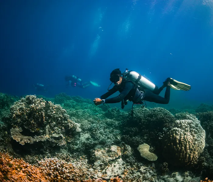 bawah-underwater-scuba-divers-coral-reef